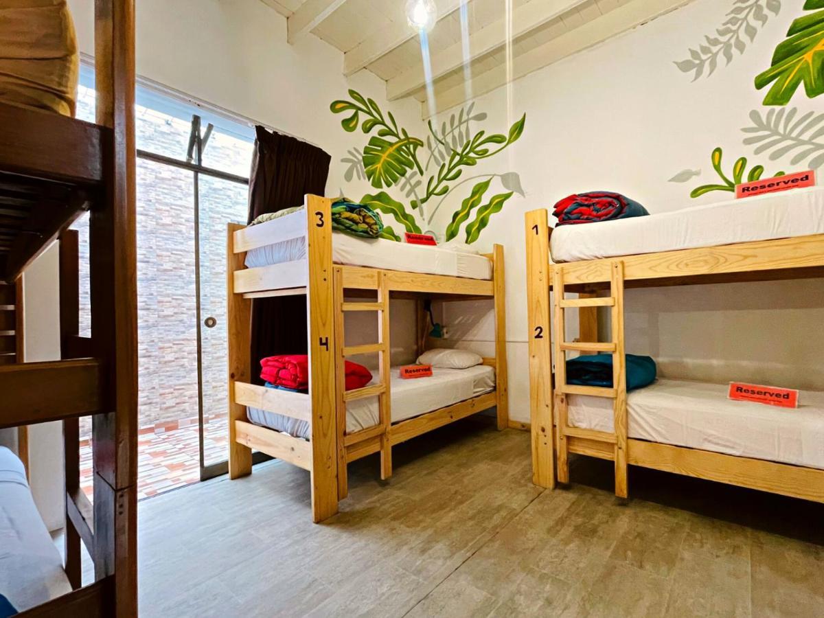 Waikiki Hostel リマ エクステリア 写真